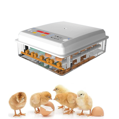Factory Poultry Egg Incubator 98% Hatchery Lamp Rate Fledgling Hatchery Machine With