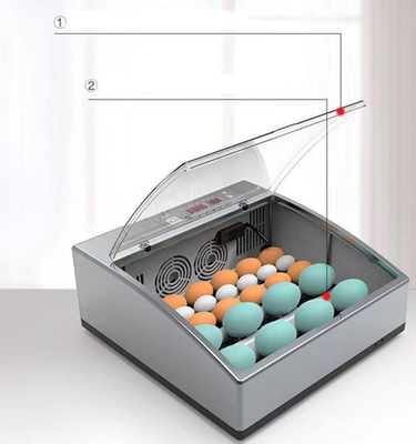 Farms 36 Pcs Solar Incubator for Hatching Eggs Egg Incubator Full Automatic Chicken Egg Incubator